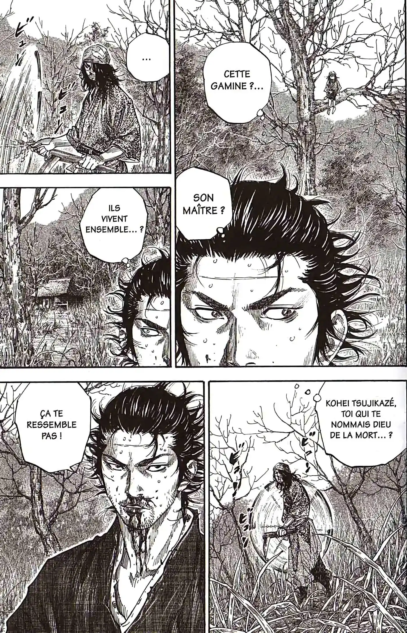 Vagabond 13 page 5