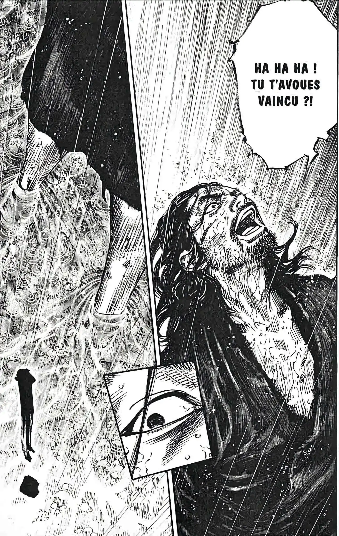 Vagabond 35 page 17