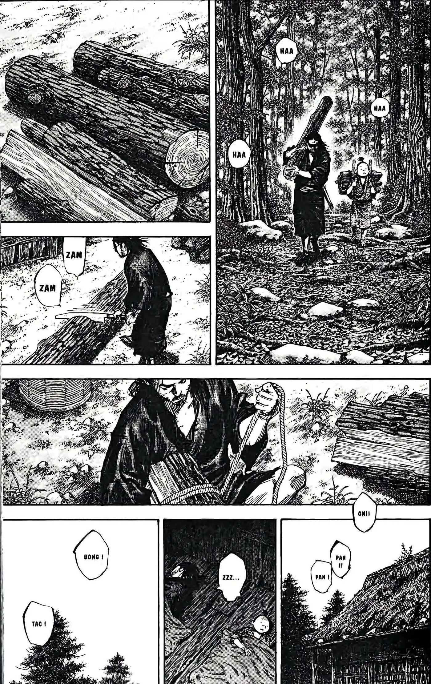 Vagabond 35 page 5