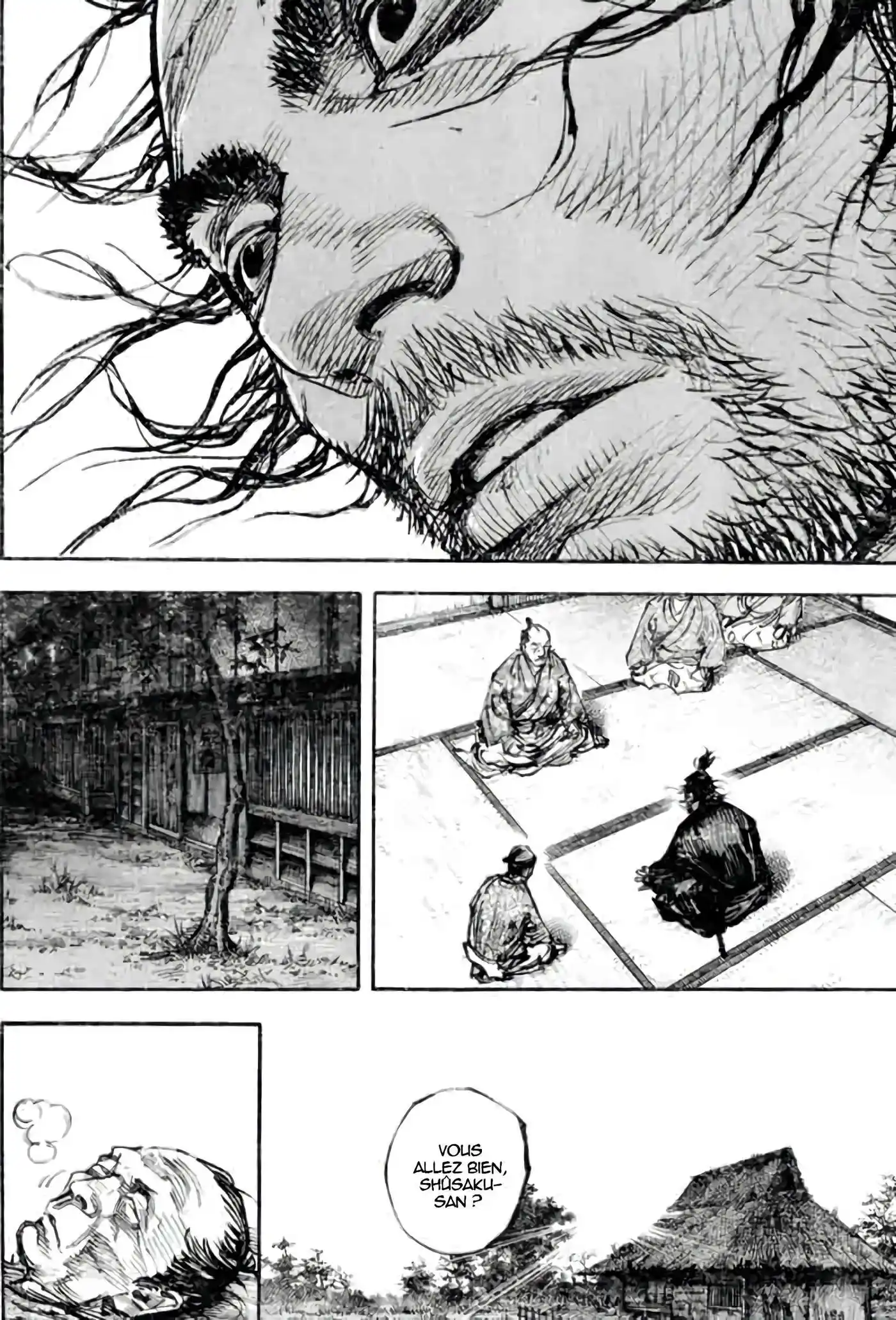 Vagabond 37 page 17