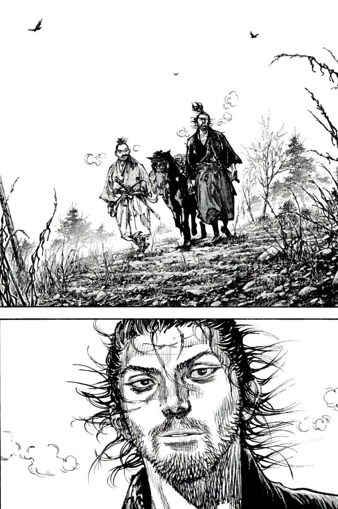 Vagabond 37 page 19