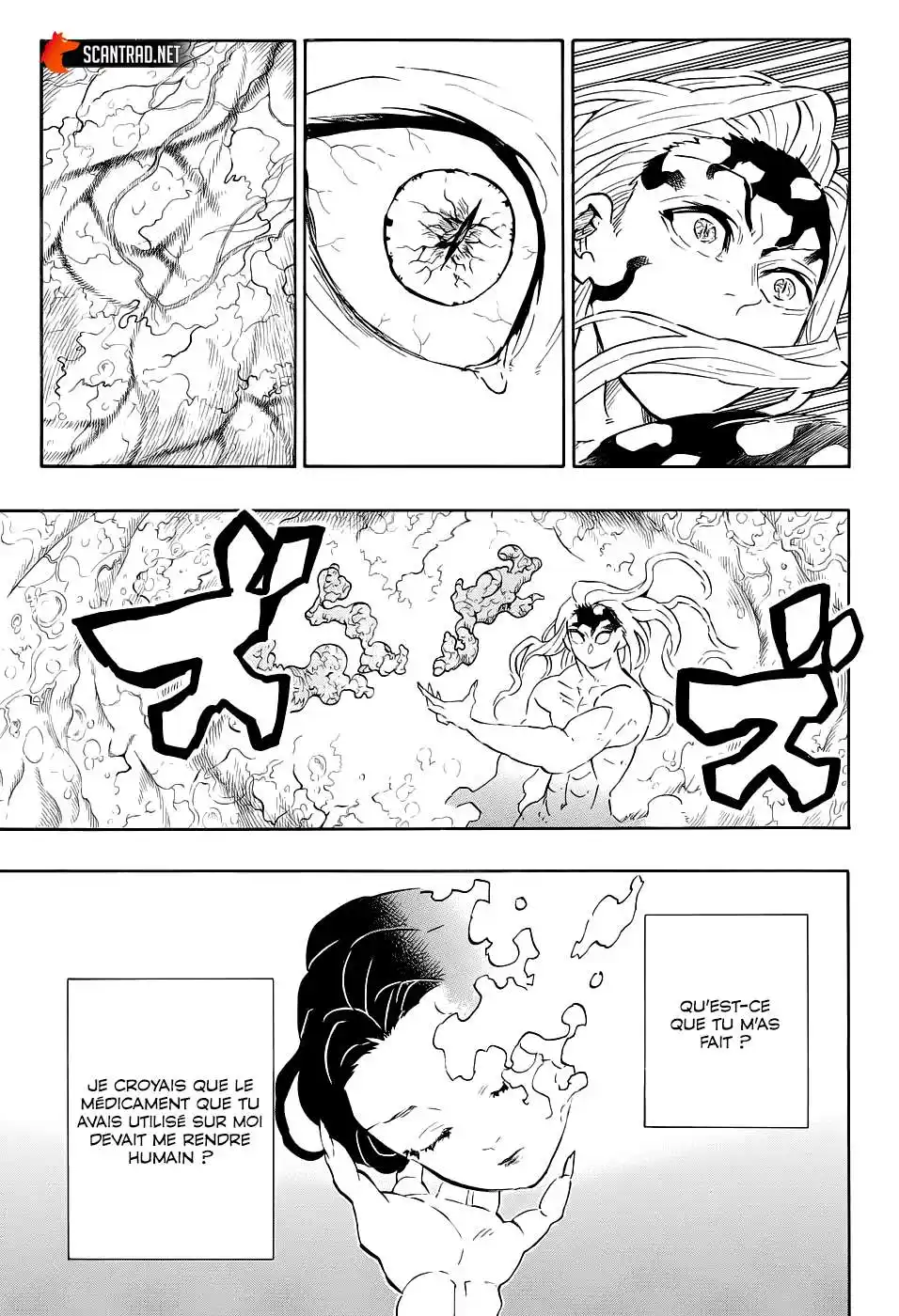 Kimetsu No Yaiba 193 page 13