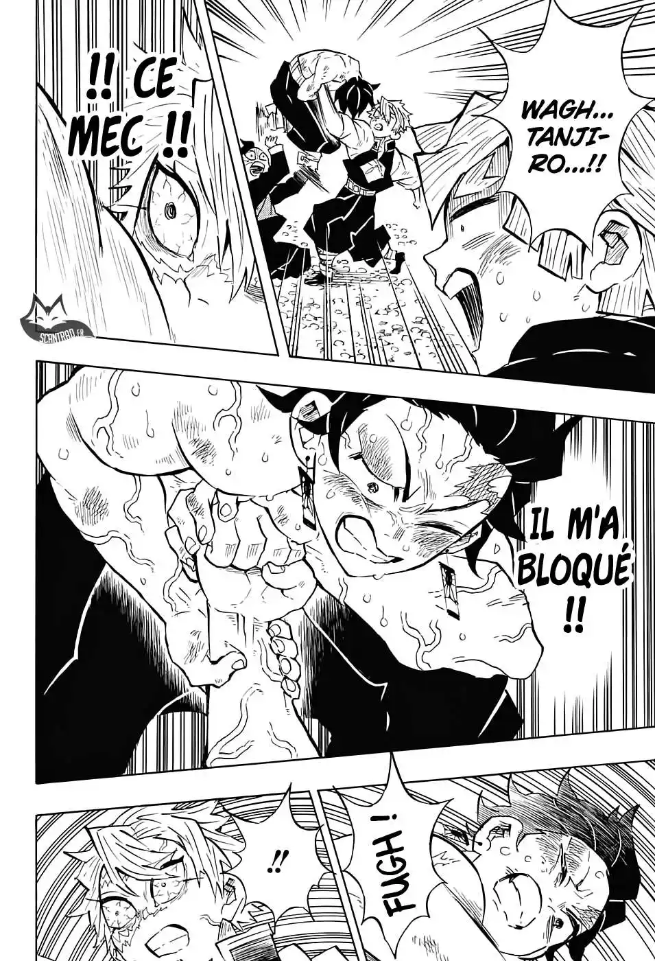 Kimetsu No Yaiba 133 page 12