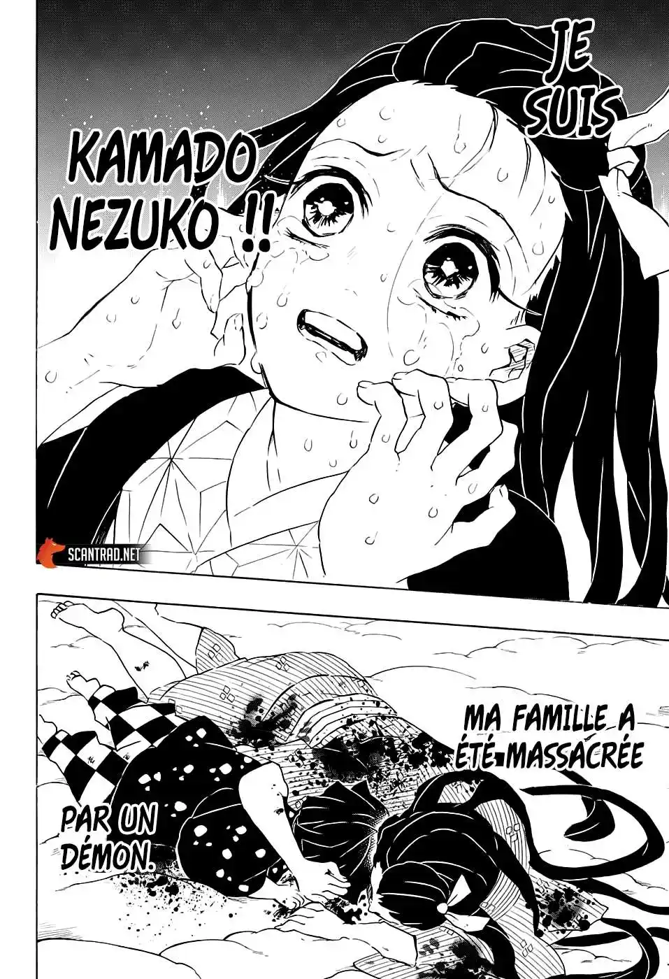 Kimetsu No Yaiba 196 page 12