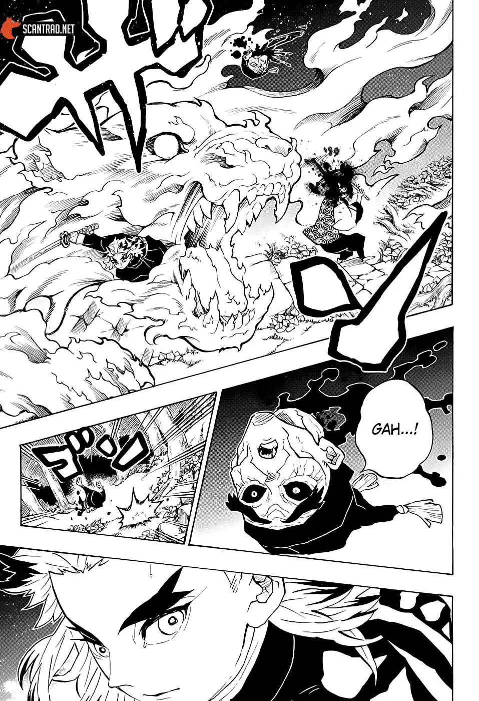 Kimetsu No Yaiba 206 page 17