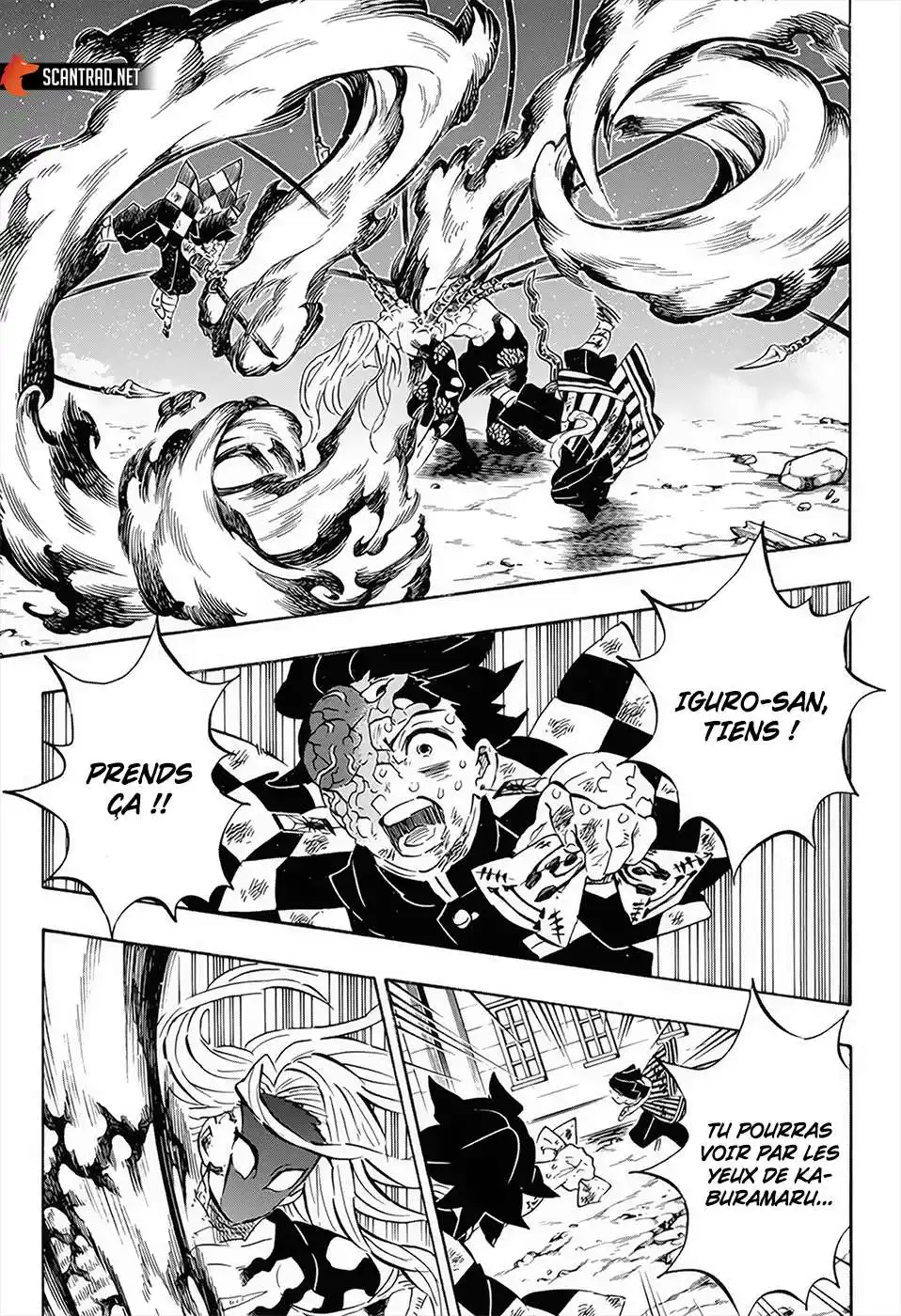 Kimetsu No Yaiba 195 page 13