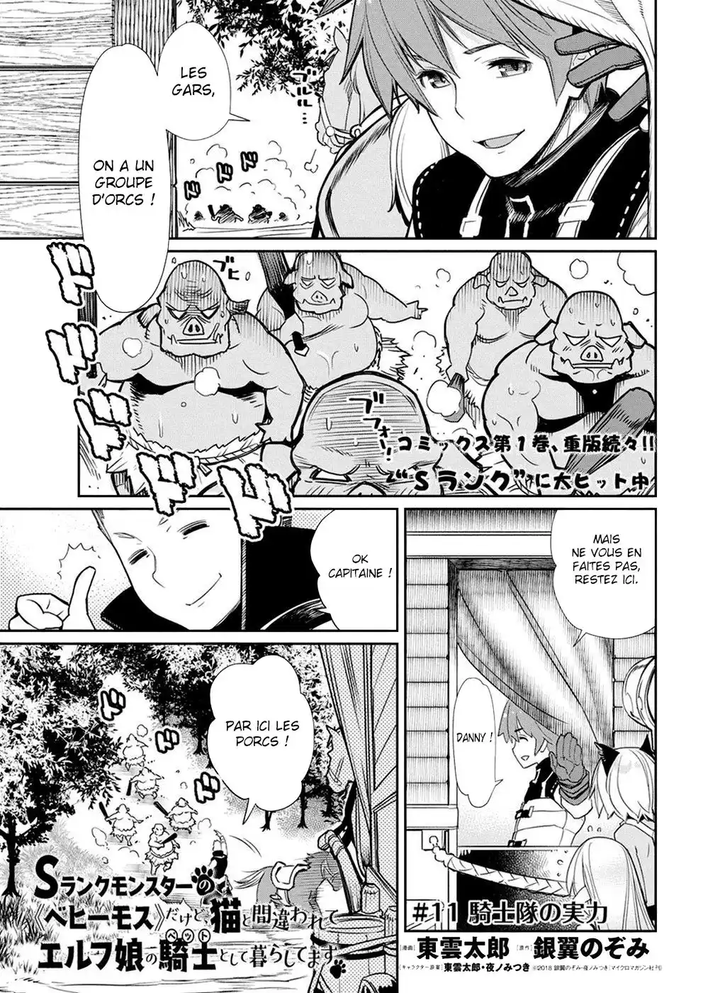 S-Rank Monster no Behemoth Dakedo, Neko to Machigawarete Erufu Musume no Kishi (Pet) Toshite Kurashitemasu 11 page 2