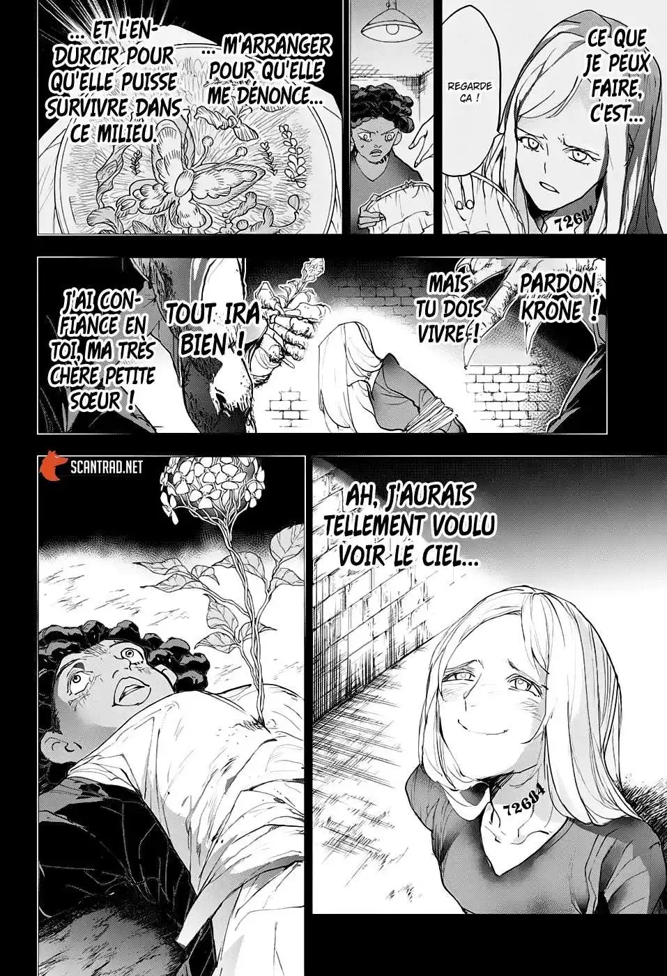 The Promised neverland 183 page 36