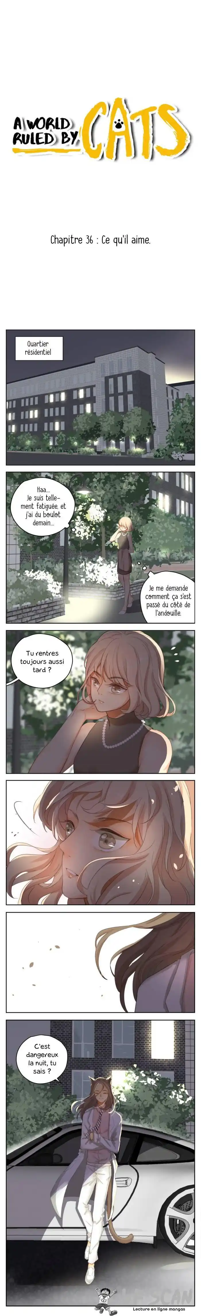A World Ruled by Cats 36 page 1