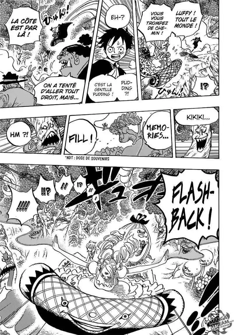 One Piece 876 page 13