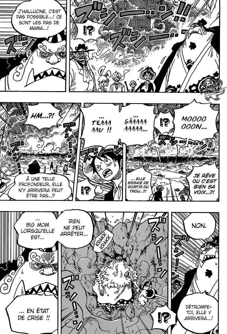 One Piece 876 page 4