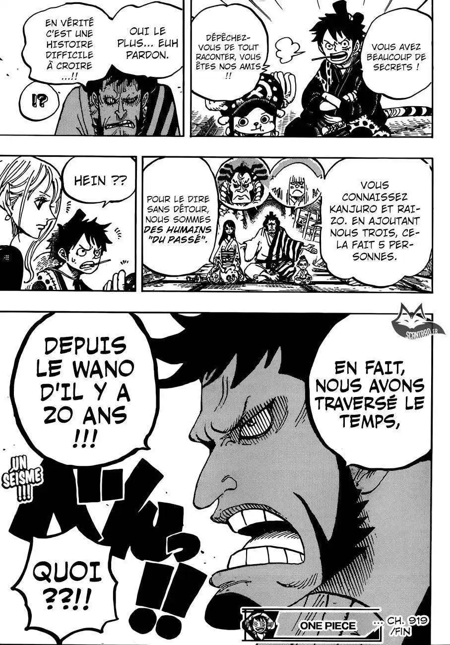 One Piece 919 page 16