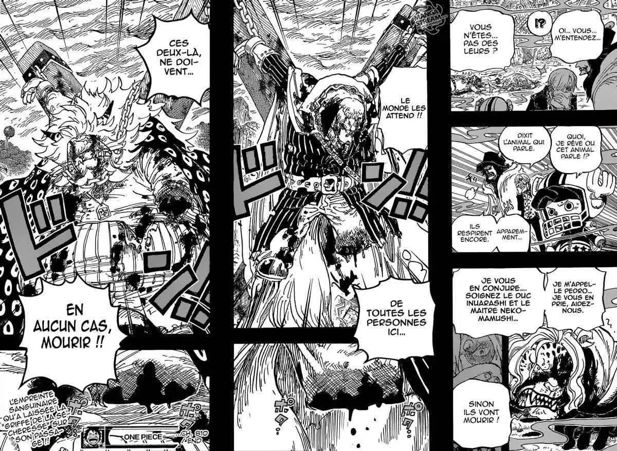 One Piece 810 page 17