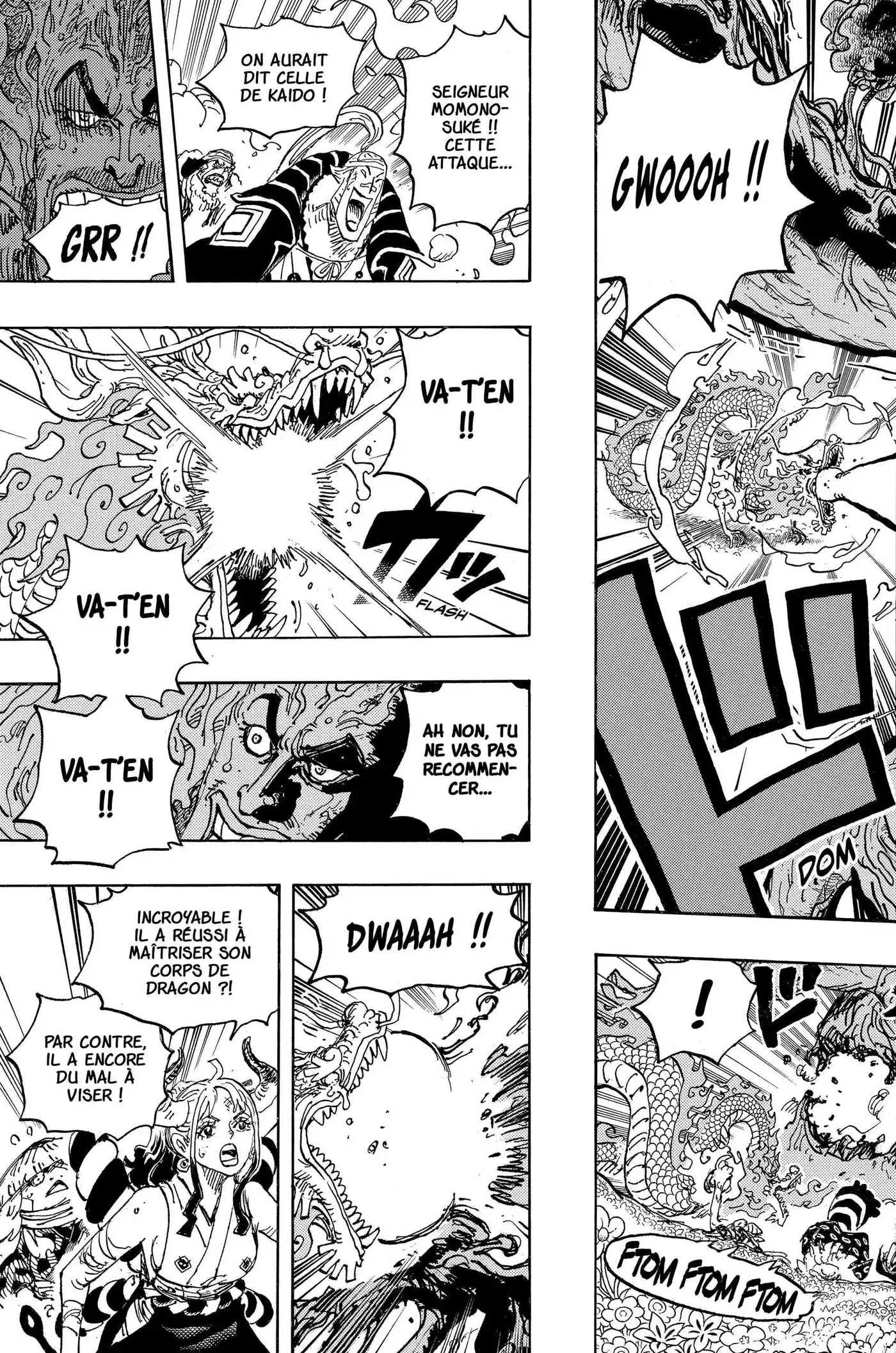 One Piece 1055 page 13