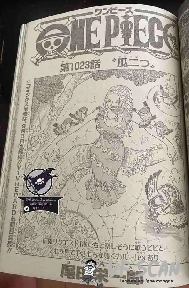 One Piece 1023 page 1