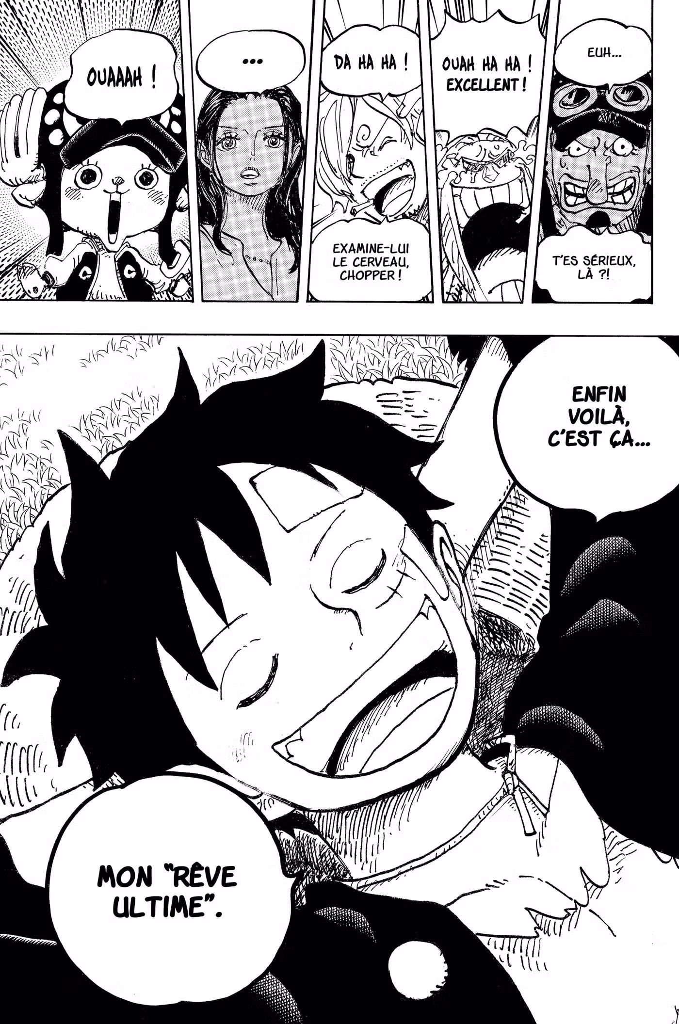 One Piece 1060 page 8