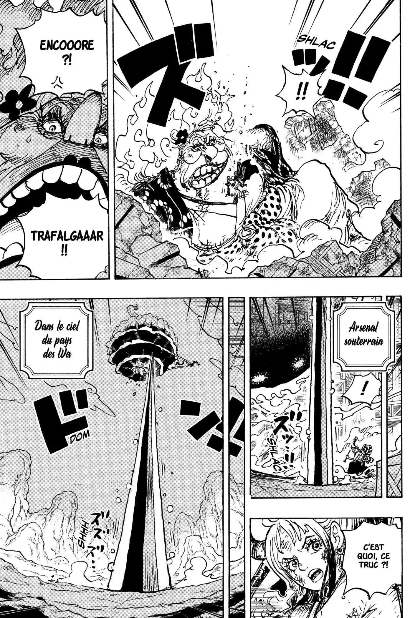 One Piece 1039 page 14