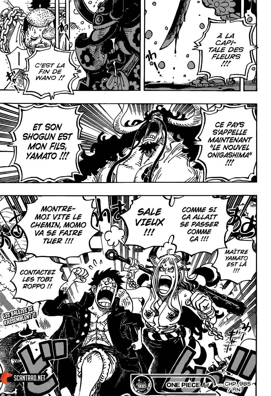 One Piece 985 page 17