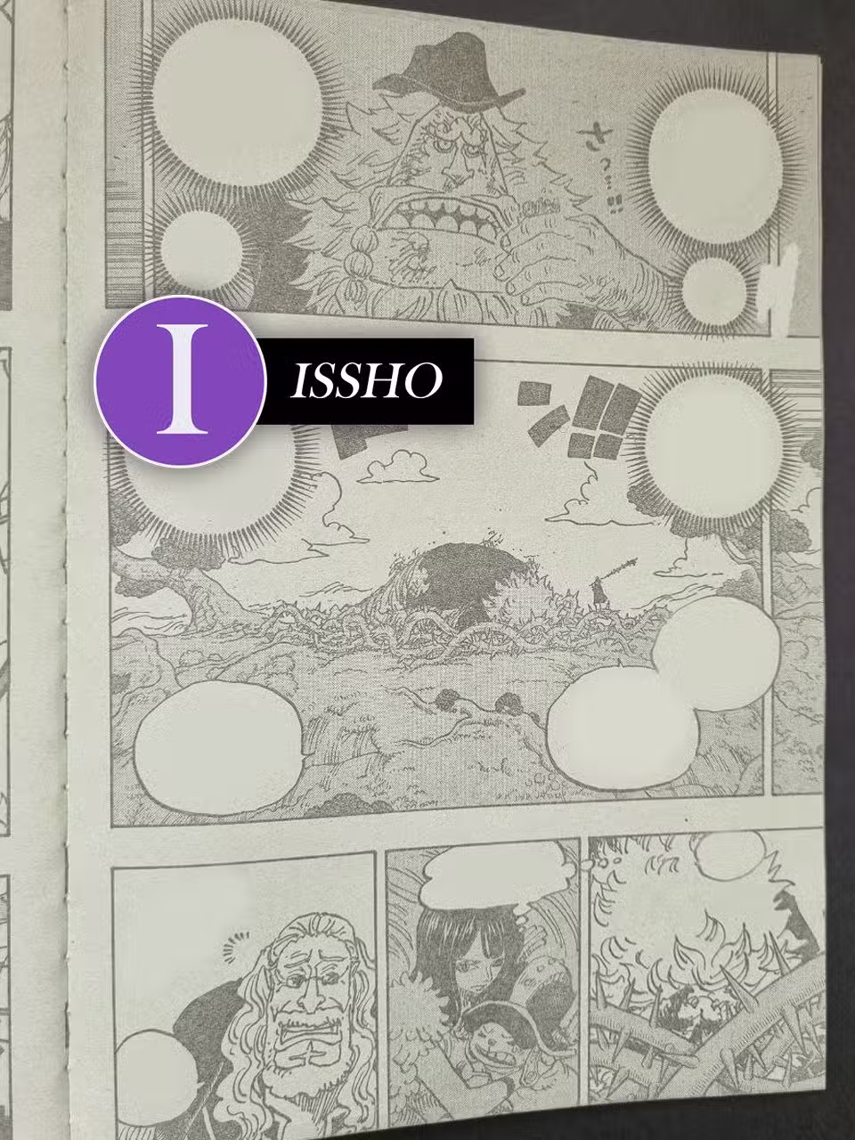 One Piece 1147 (RAW) page 2