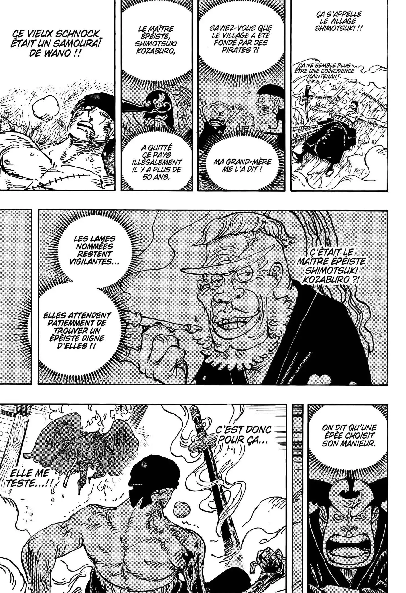 One Piece 1033 page 15