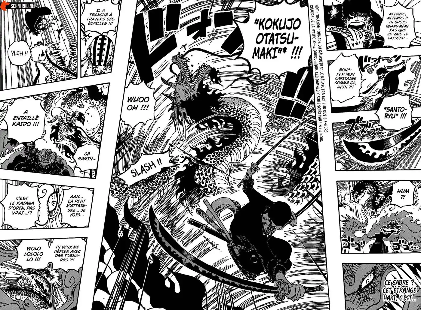 One Piece 1003 page 8