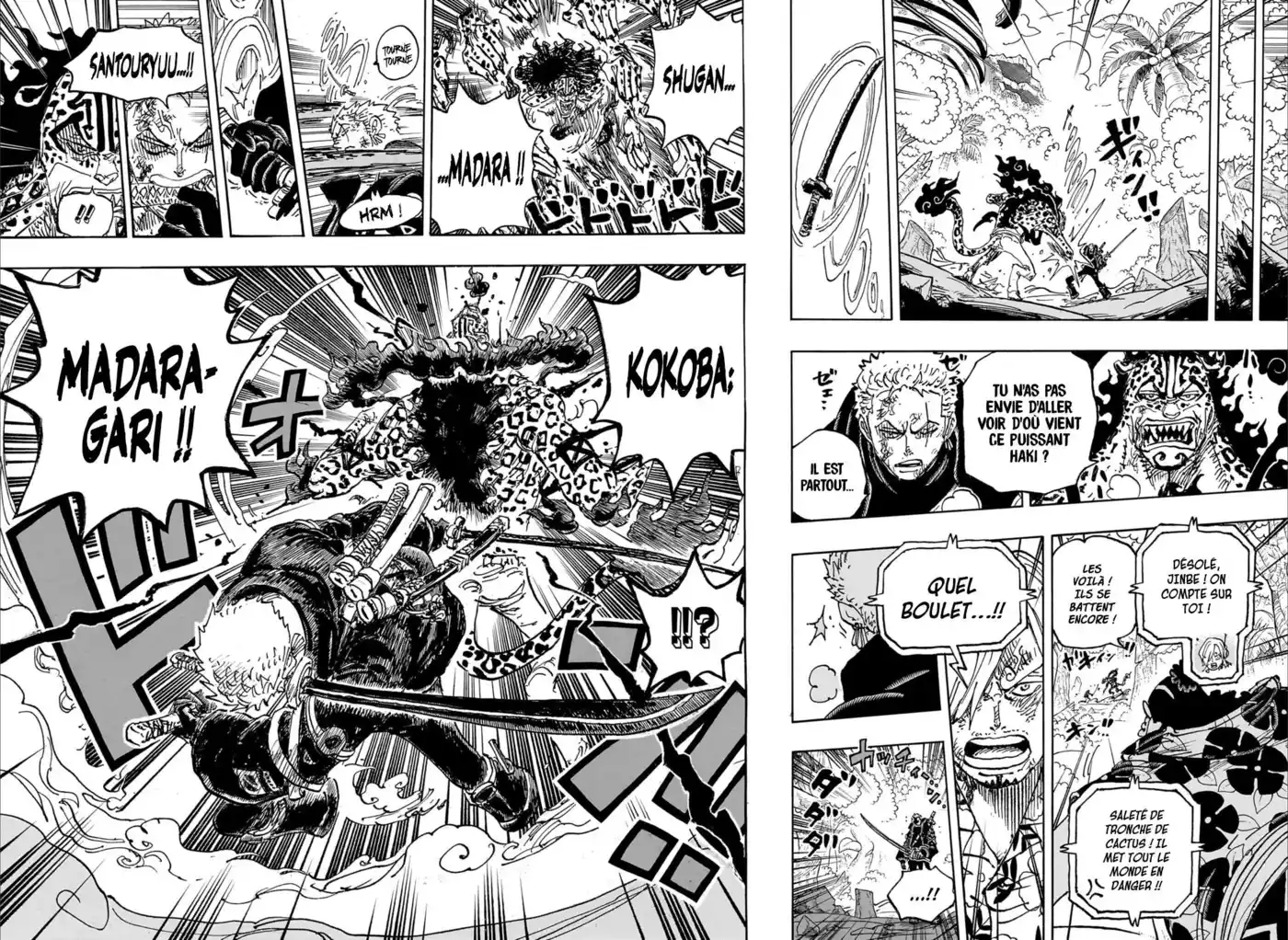 One Piece 1110 page 11