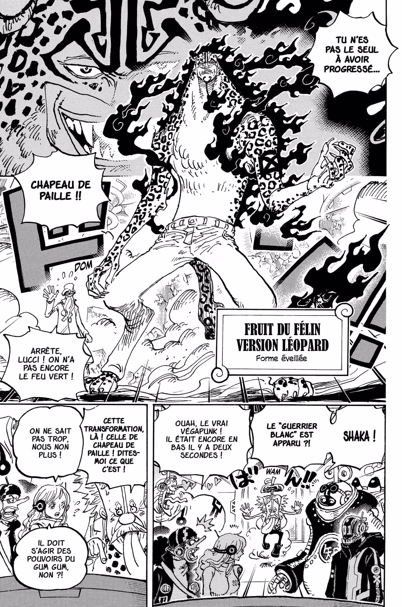 One Piece 1069 page 7
