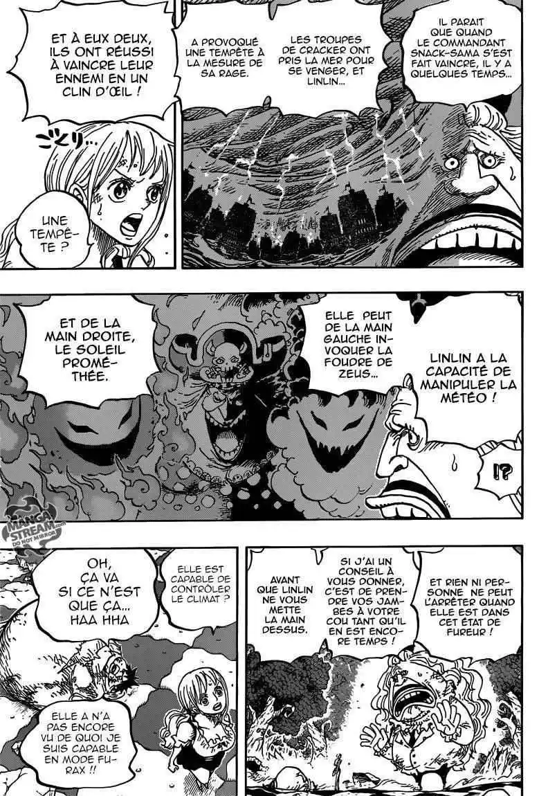 One Piece 843 page 10