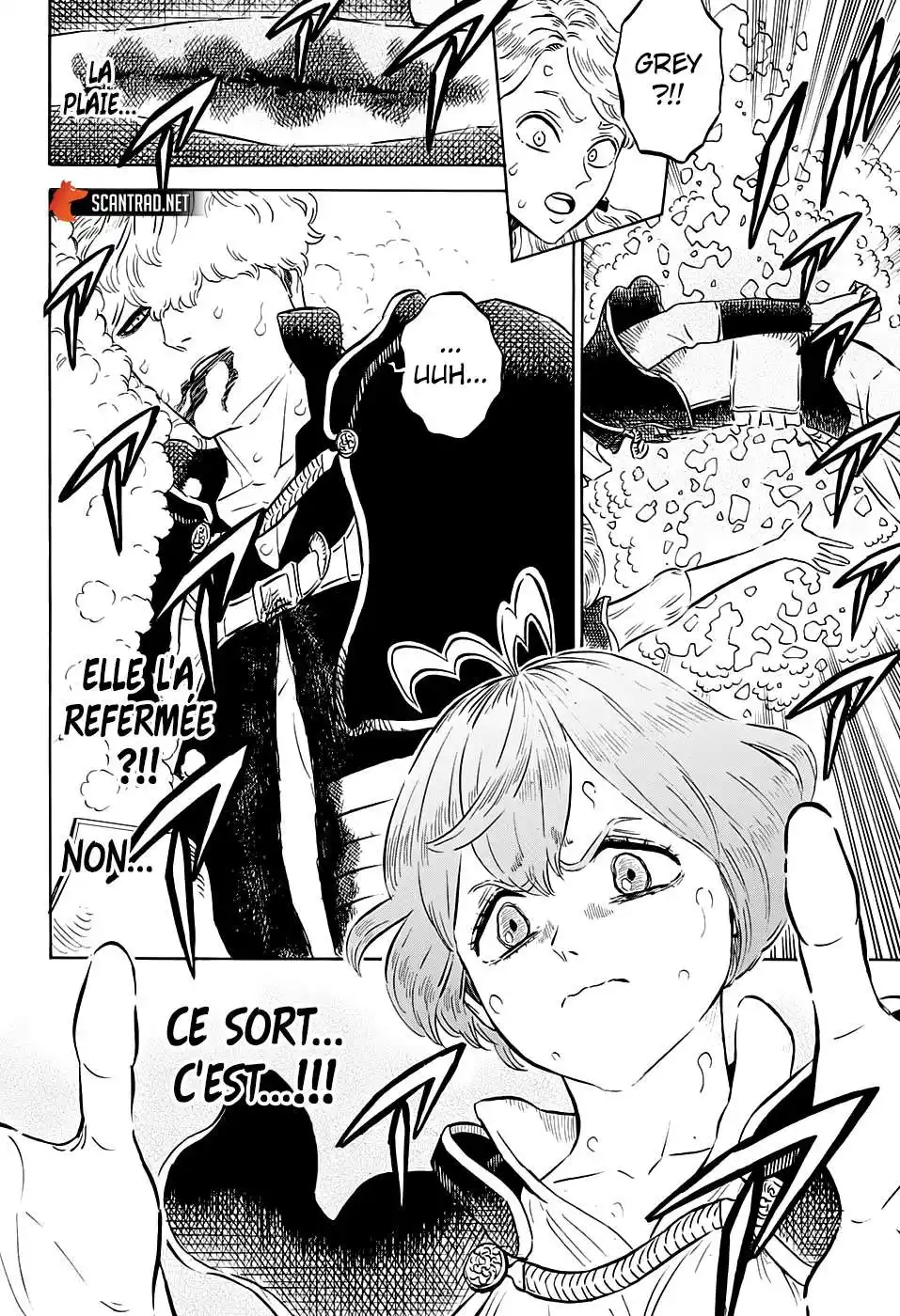 Black Clover 244 page 12