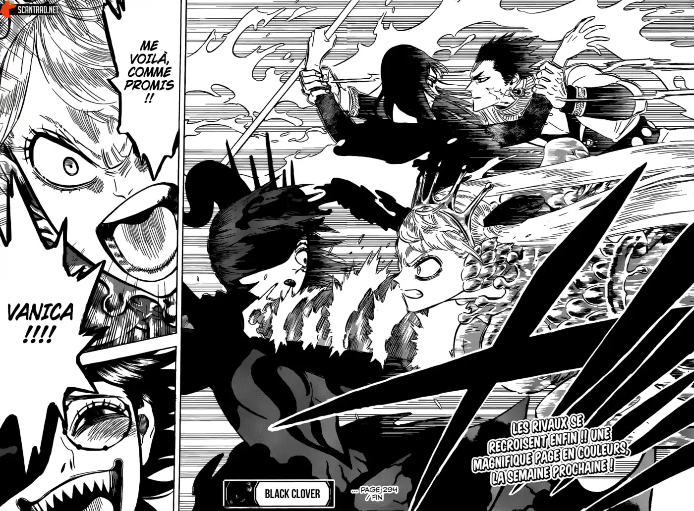 Black Clover 294 page 15