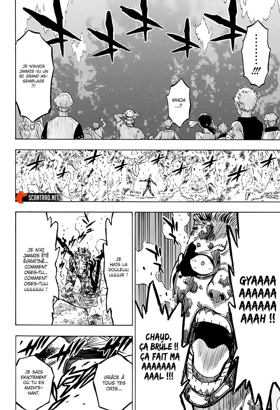 Black Clover 249 page 13