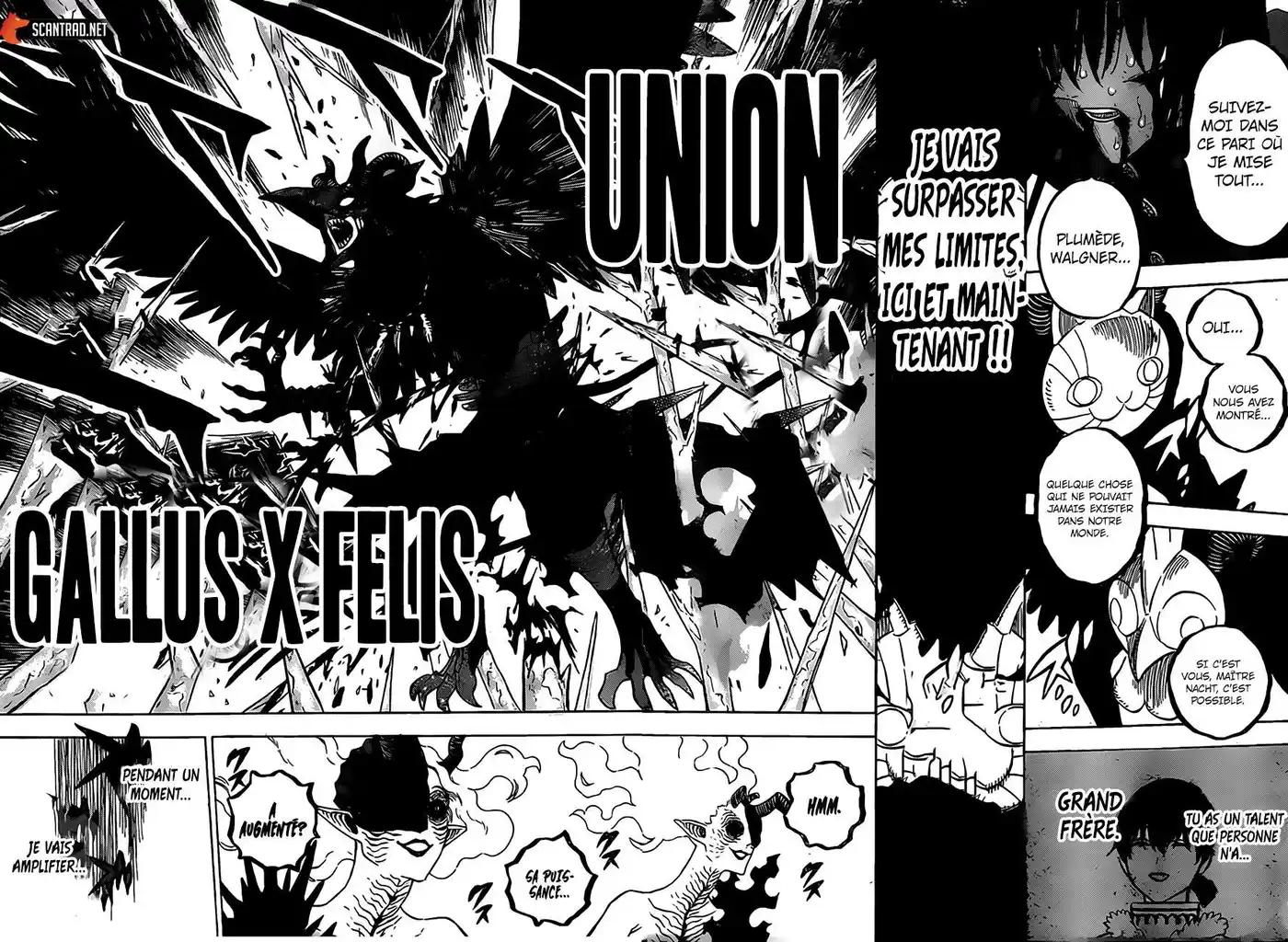 Black Clover 287 page 5