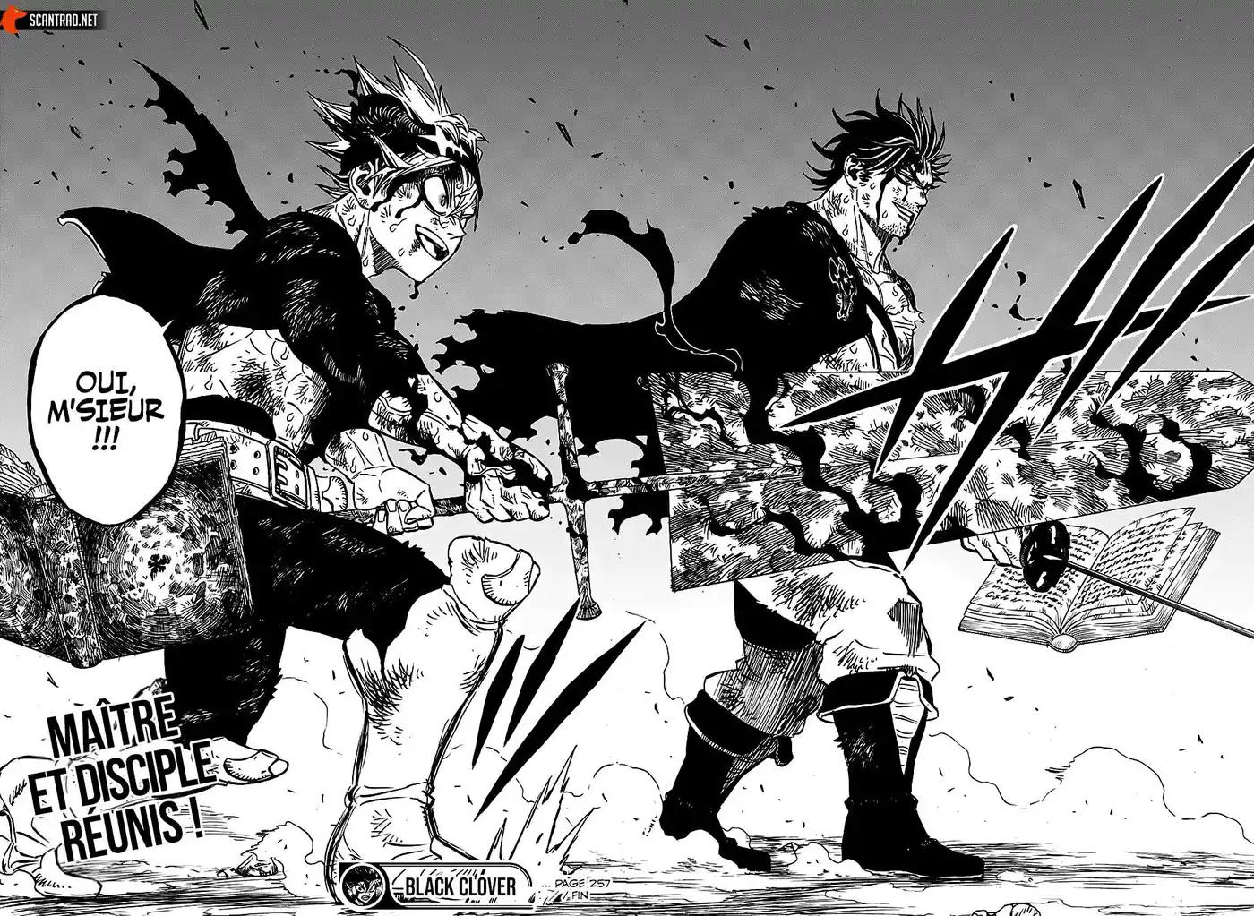 Black Clover 257 page 12