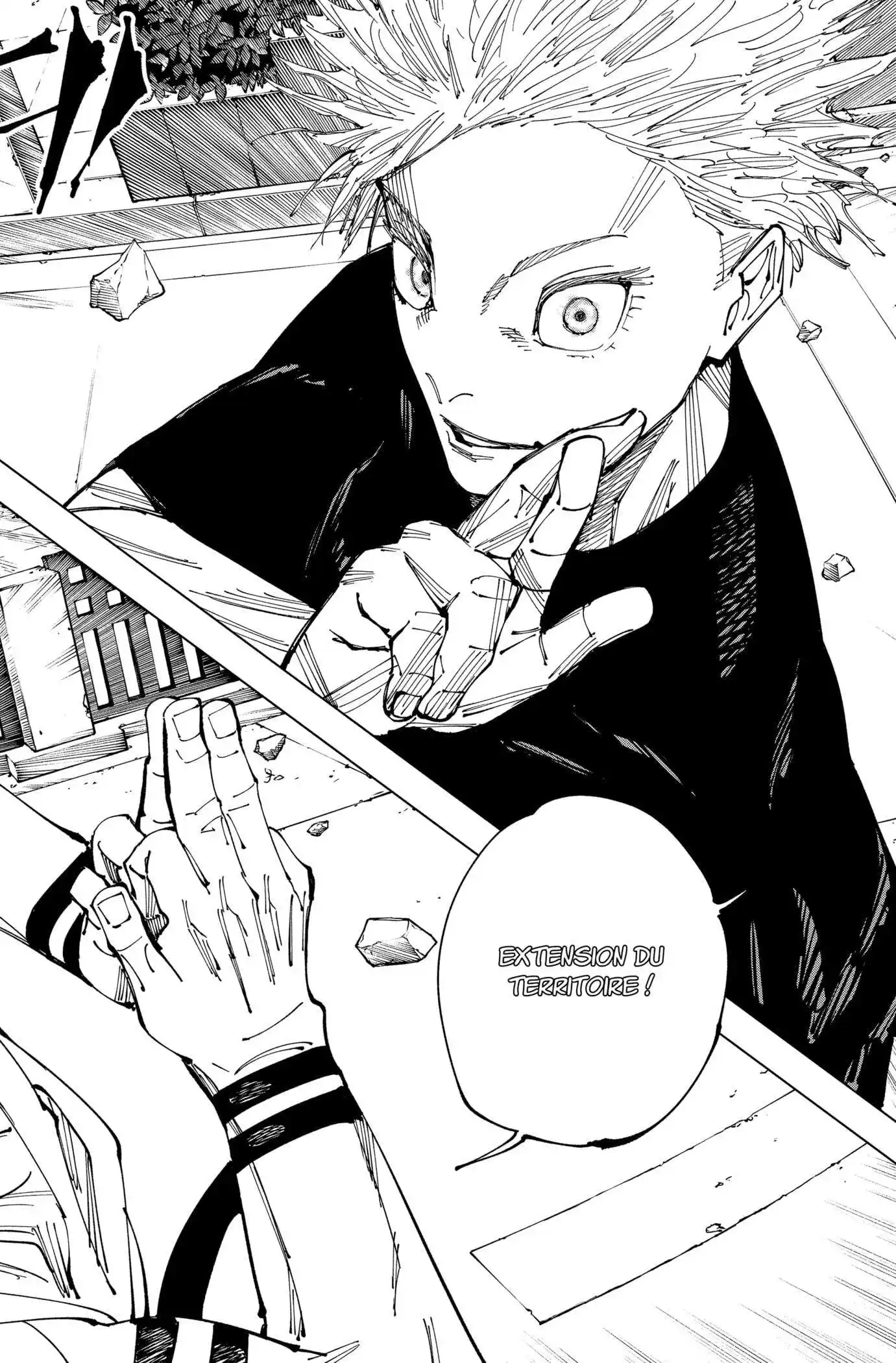 Jujutsu Kaisen 225 page 12