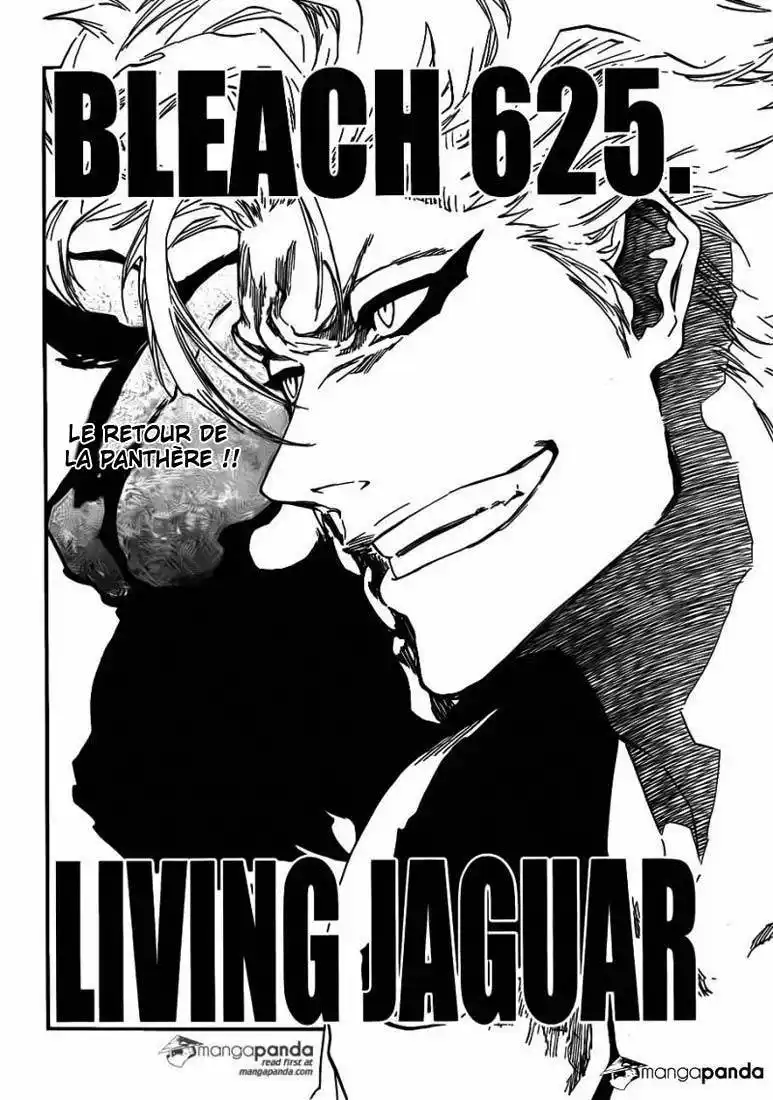 Bleach 625 page 3