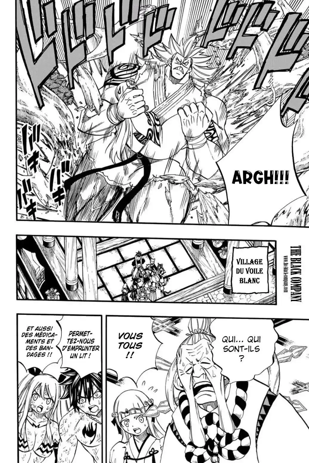Fairy Tail 100 Years Quest 81 page 14