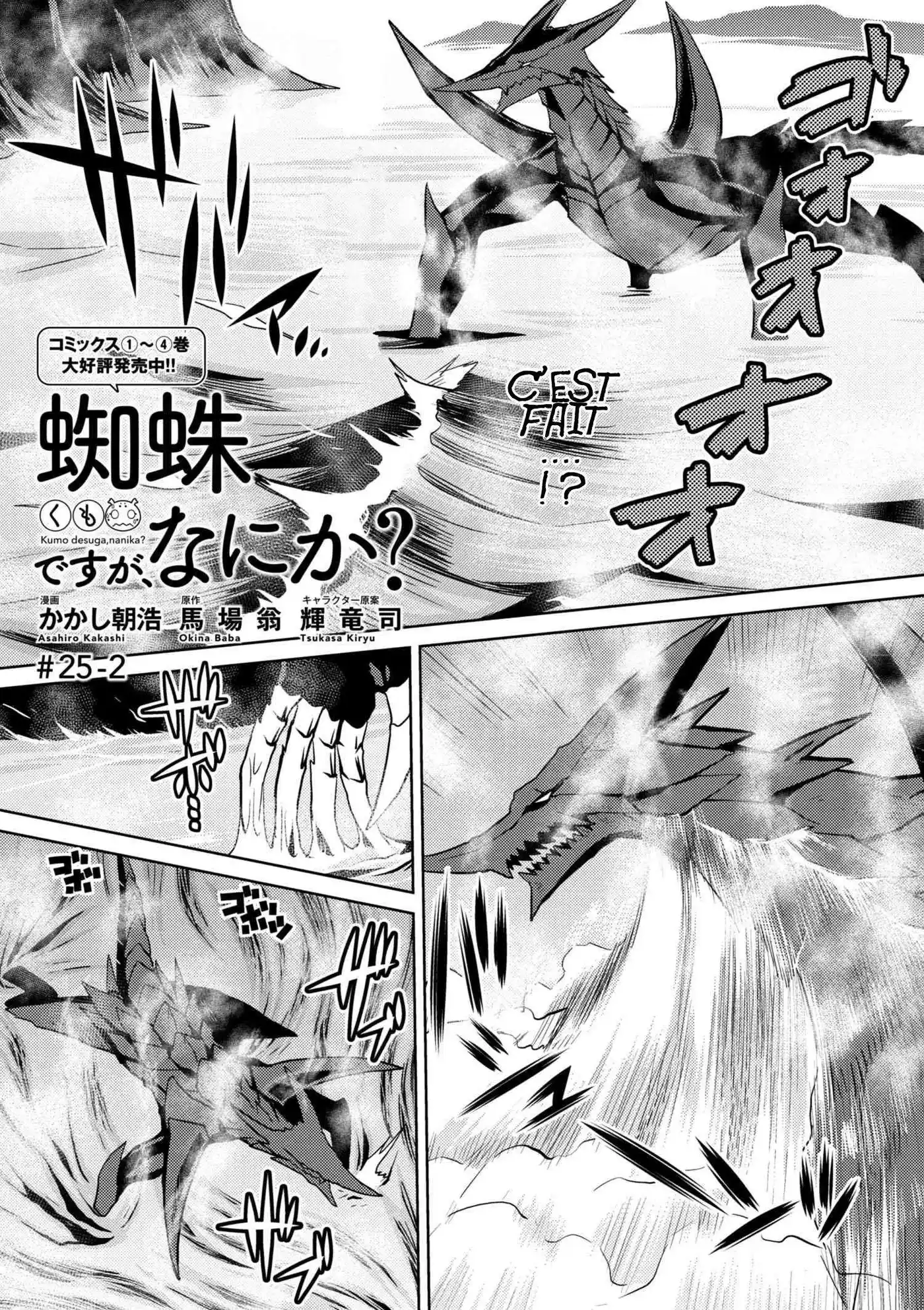 Kumo Desu ga, Nani ka? 25.2 page 2