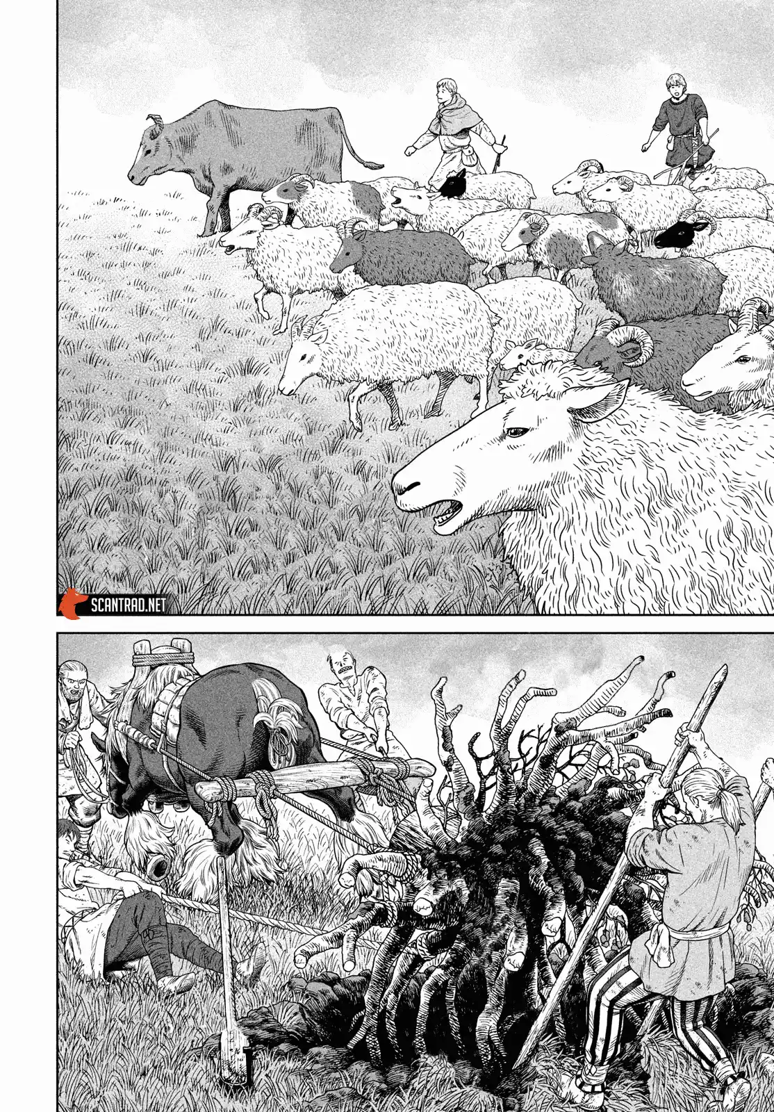 Vinland Saga 181 page 4