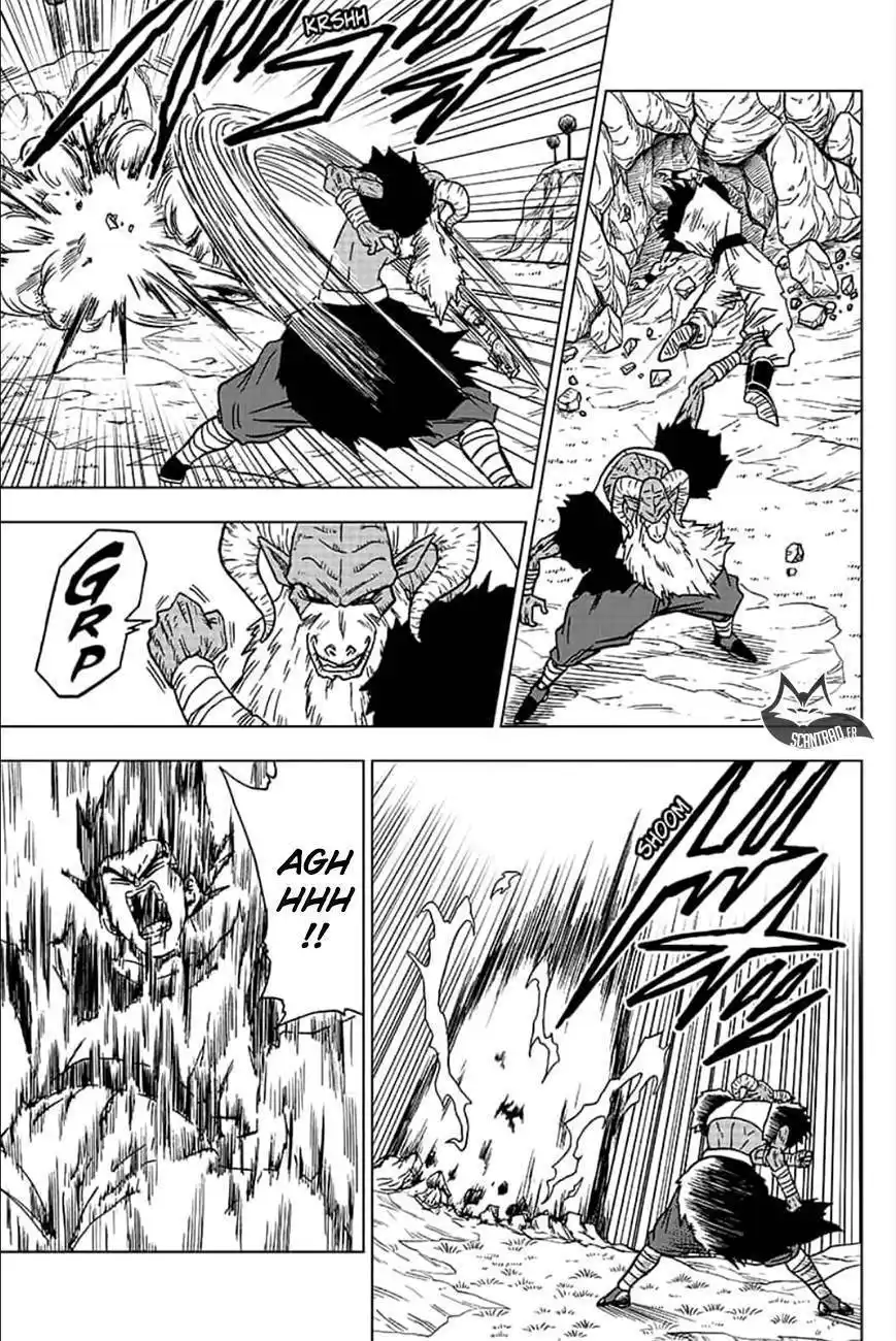 Dragon Ball Super 46 page 6