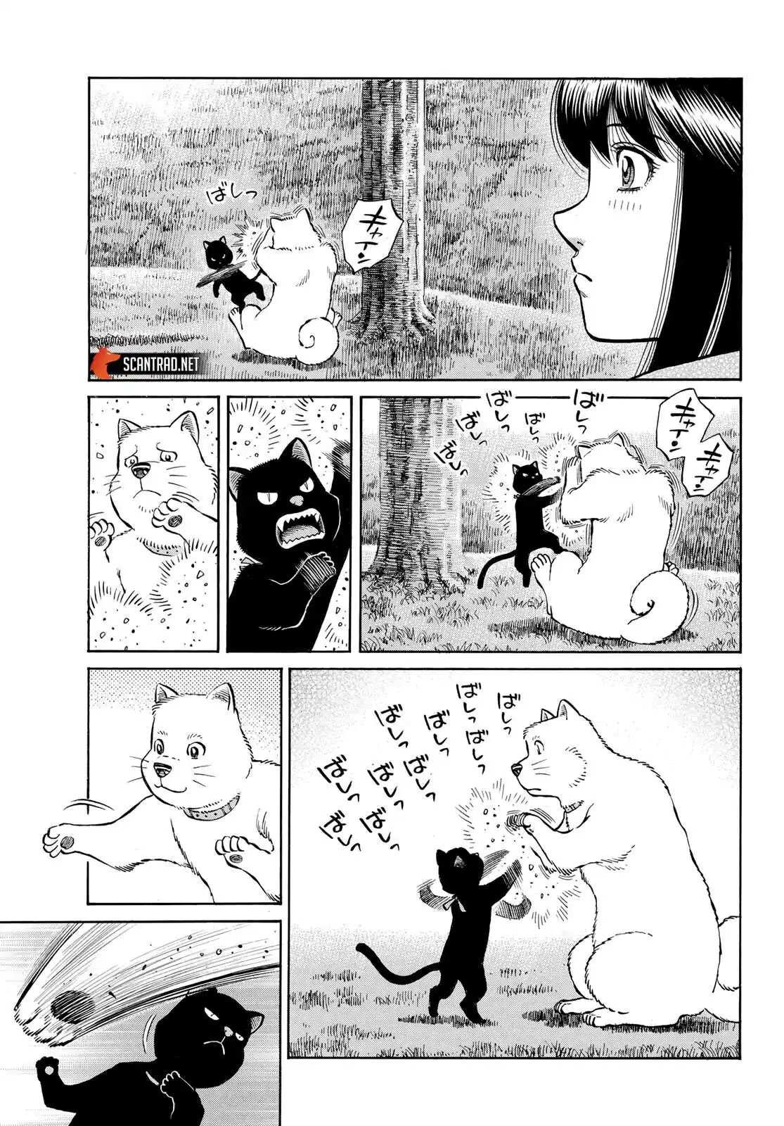 Hajime no Ippo 1412 page 3