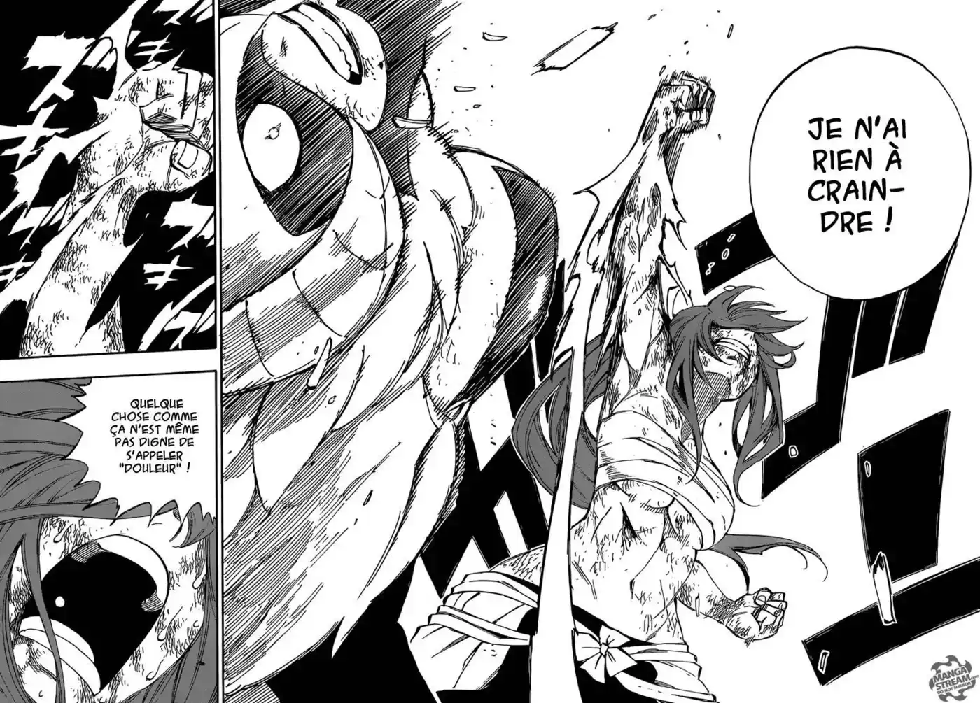 Fairy Tail 403 page 19