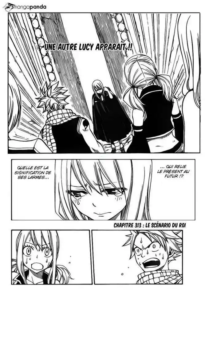 Fairy Tail 313 page 3