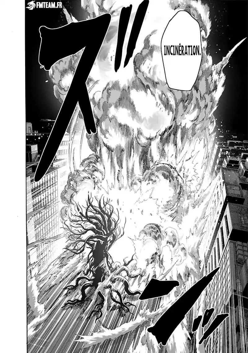 One-Punch Man 243 page 24