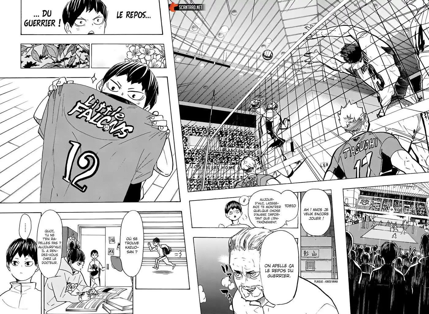 Haikyuu 387 page 8