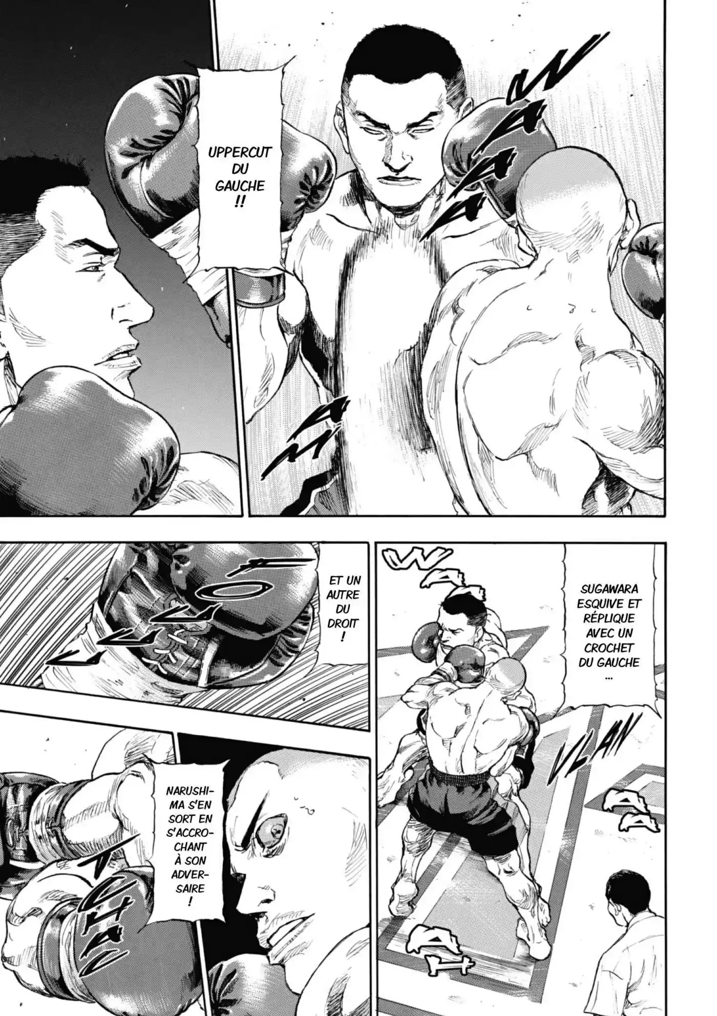Coq de Combat 10 page 14