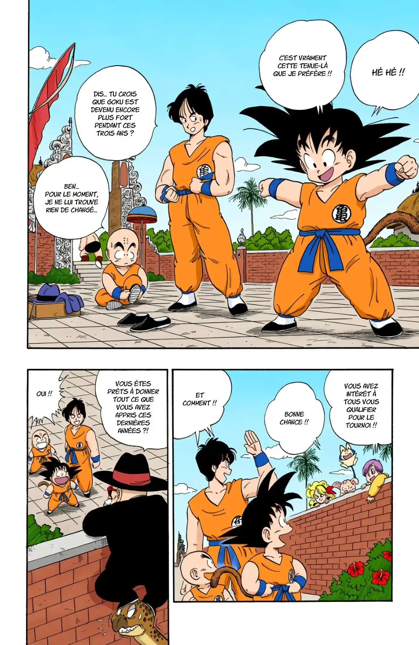 Dragon Ball 10 page 14