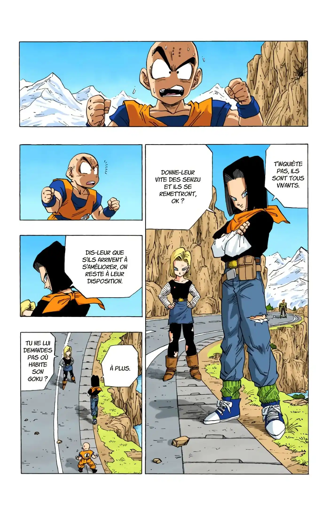 Dragon Ball 30 page 17