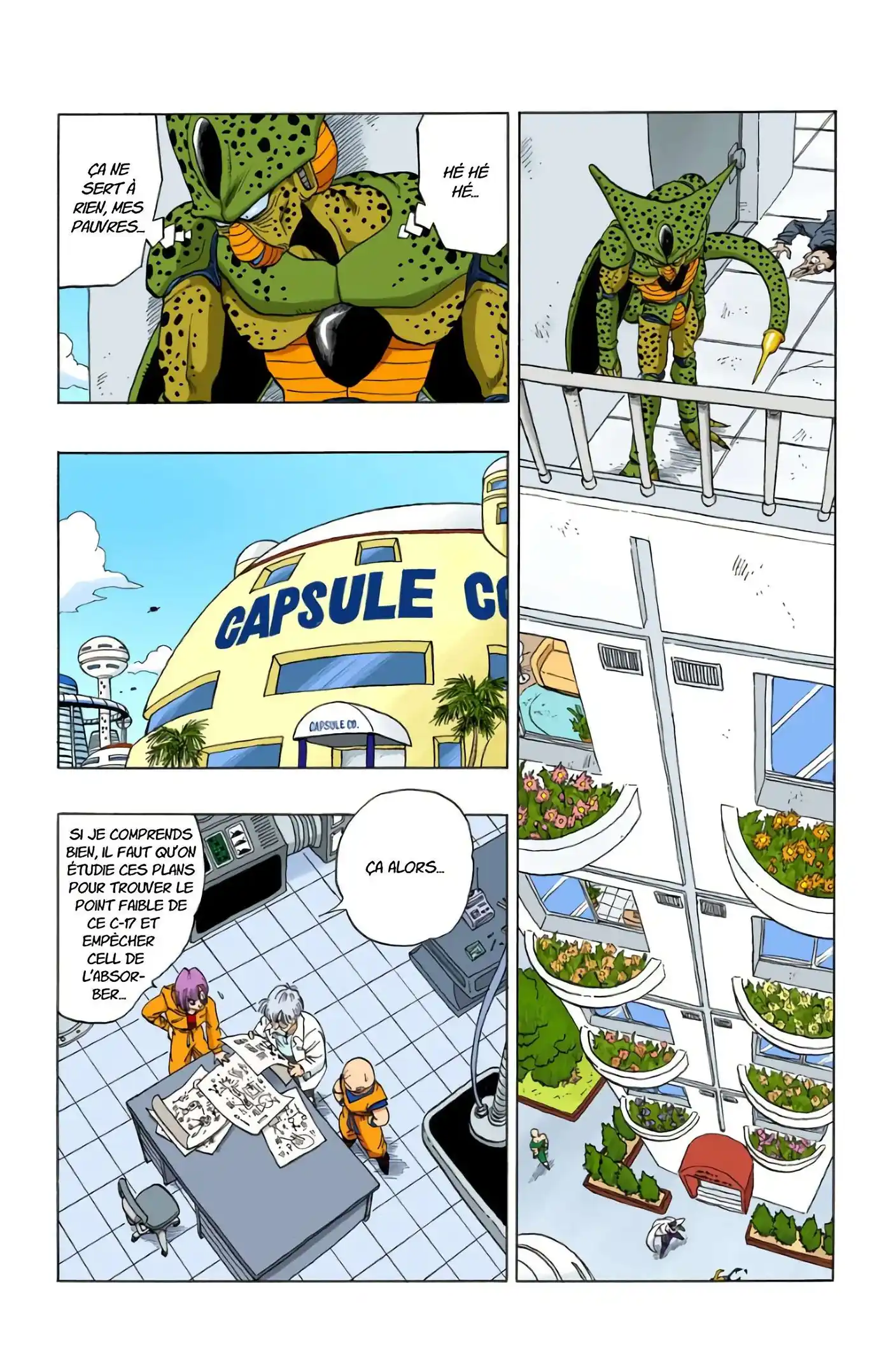 Dragon Ball 31 page 13