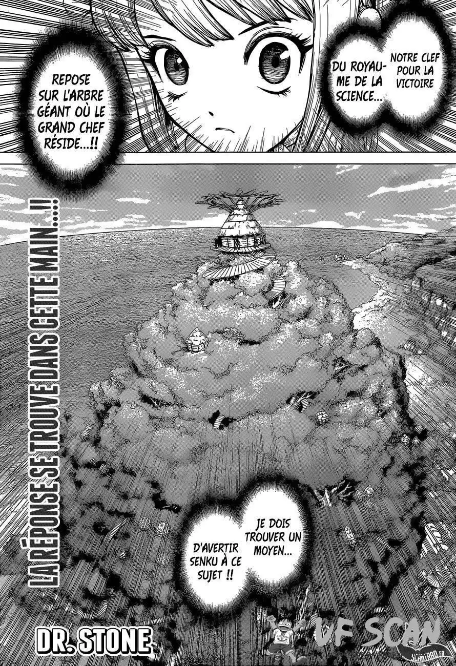 Dr. STONE 113 page 1
