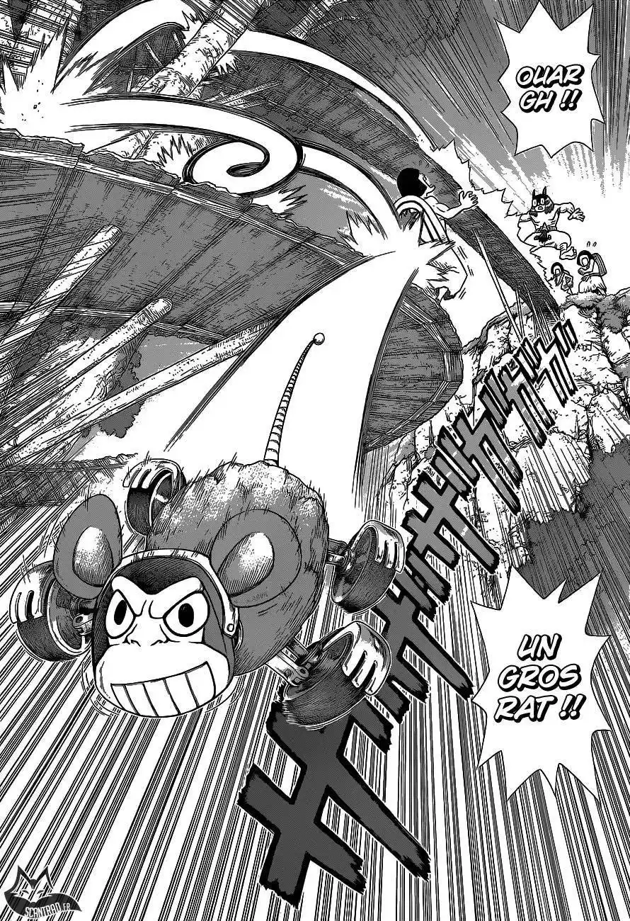 Dr. STONE 113 page 5